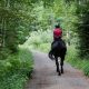 man in red jacket riding black horse on road during daytime