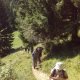 hiking in Transylvania